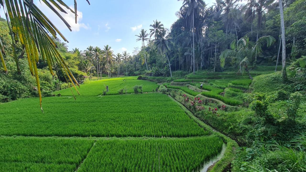 Tirta Sari Villa Tampaksiring Екстериор снимка