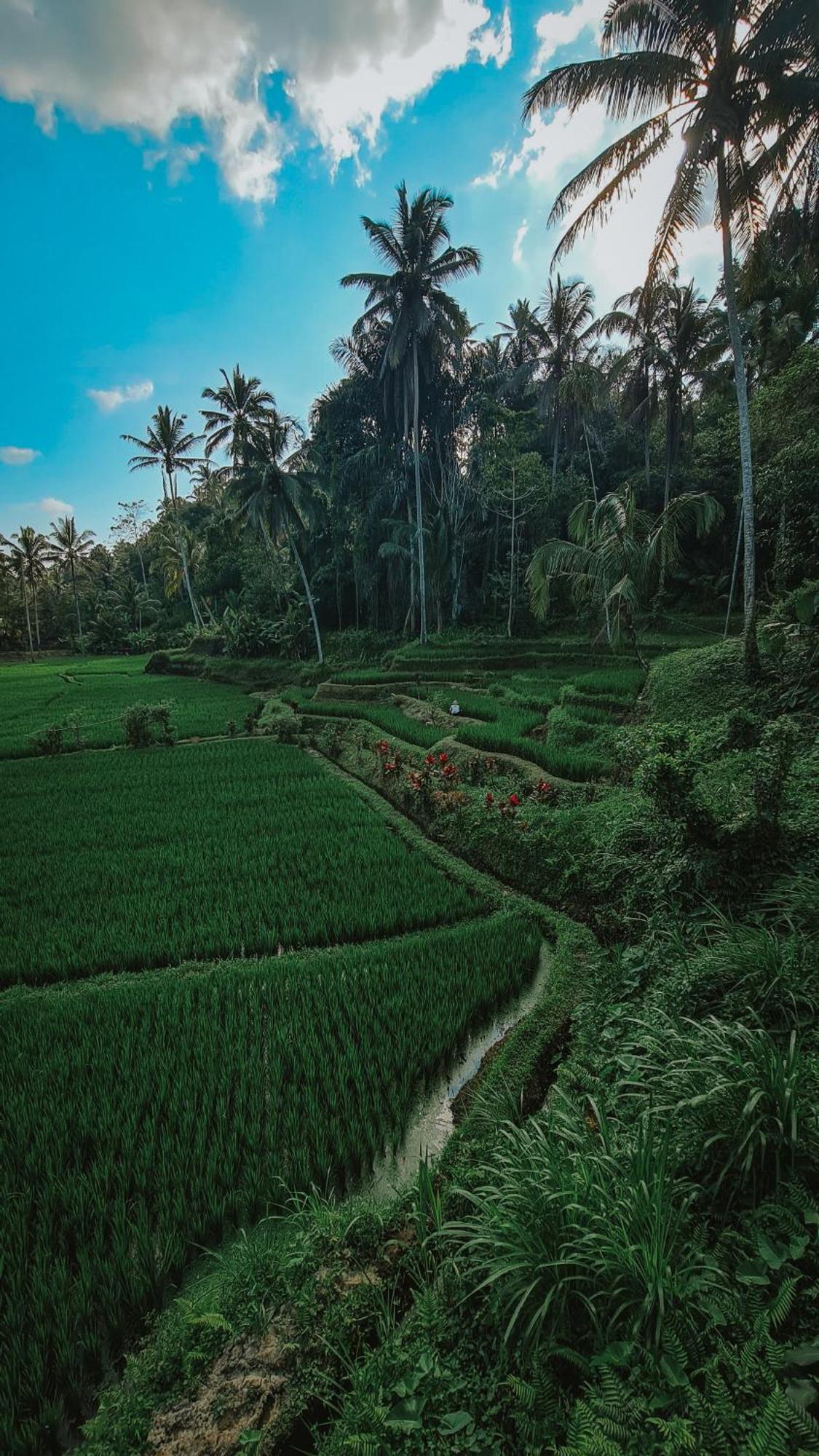 Tirta Sari Villa Tampaksiring Екстериор снимка