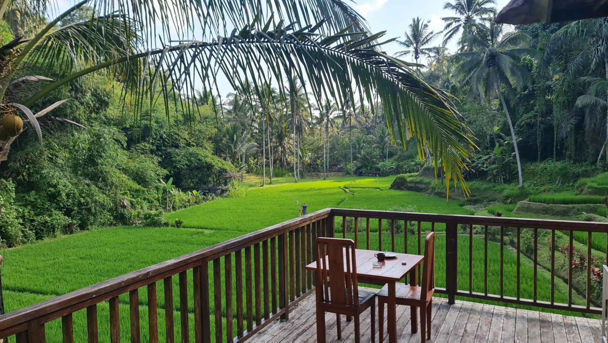 Tirta Sari Villa Tampaksiring Екстериор снимка