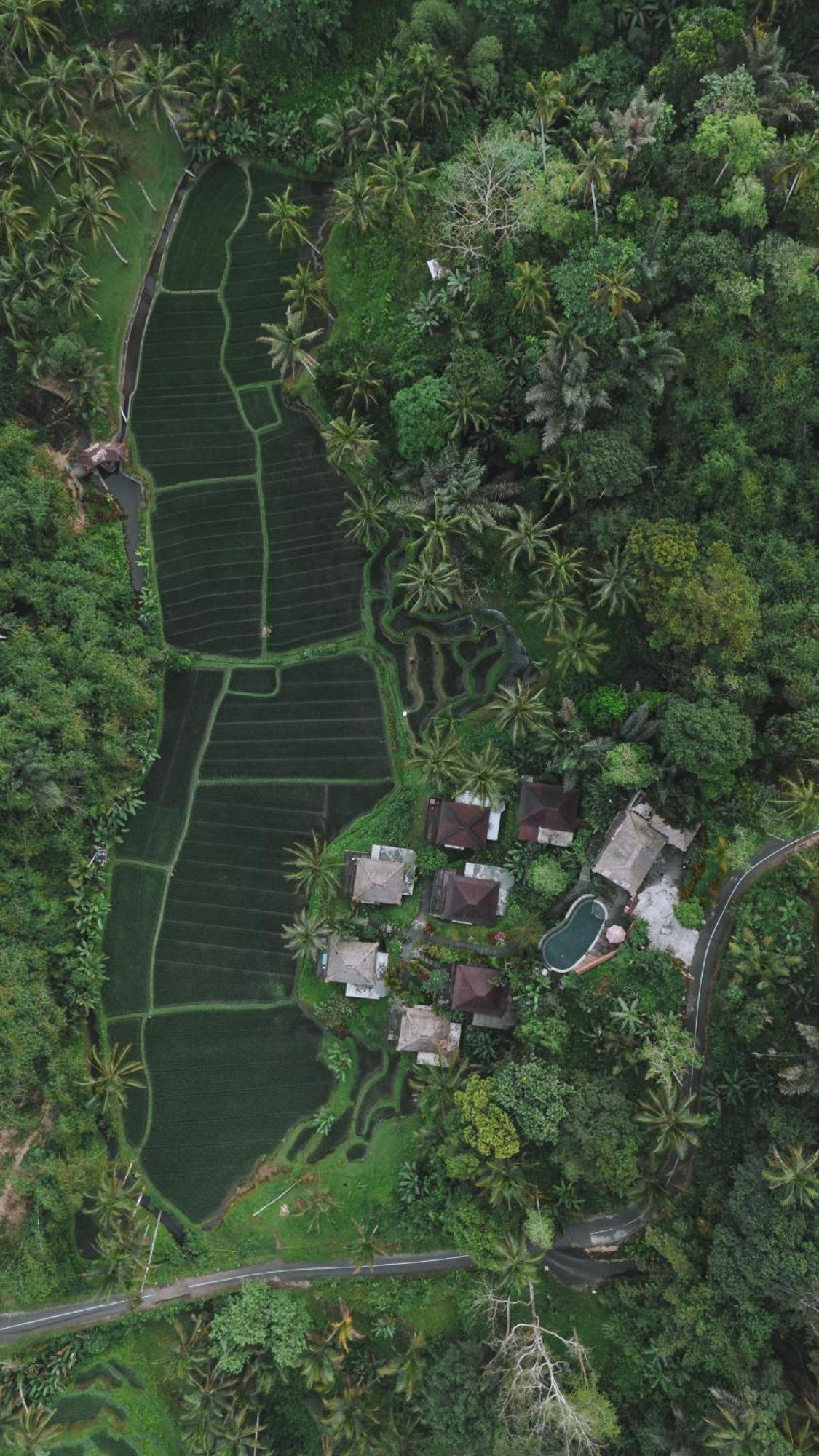 Tirta Sari Villa Tampaksiring Екстериор снимка
